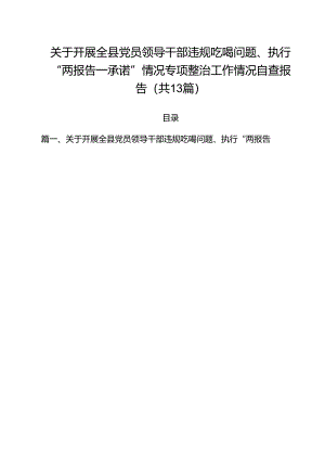 关于开展全县党员领导干部违规吃喝问题、执行“两报告一承诺”情况专项整治工作情况自查报告（共13篇）.docx