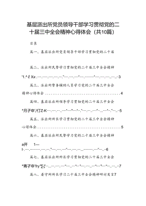 （10篇）基层派出所党员领导干部学习贯彻党的二十届三中全会精神心得体会范文.docx