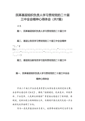 民革基层组织负责人学习贯彻党的二十届三中全会精神心得体会7篇（最新版）.docx