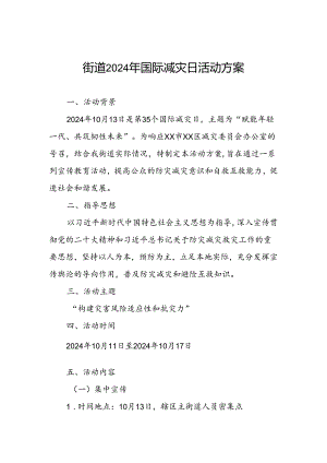 街道办事处开展2024年国际减灾日活动的工作方案.docx