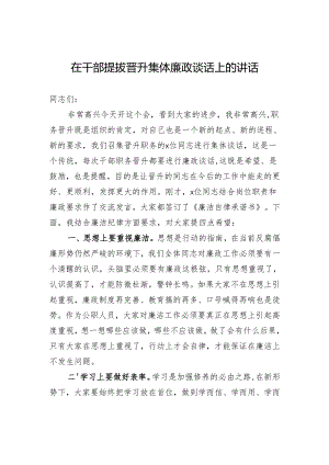 在干部提拔晋升集体廉政谈话上的讲话.docx