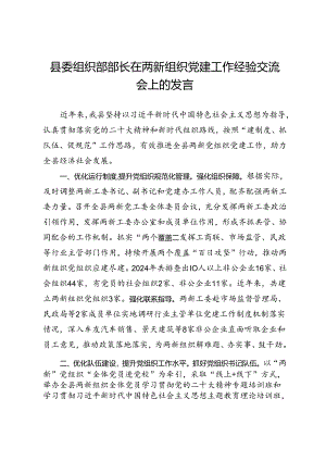 县委组织部部长在两新组织党建工作经验交流会上的发言.docx
