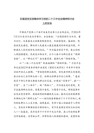 （9篇）在基层党支部集体学习党的二十三中全会精神研讨会上的发言范文.docx