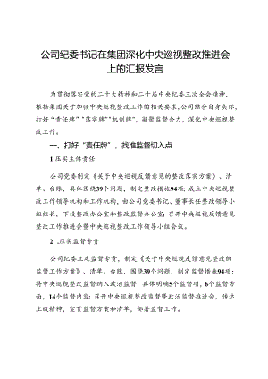 公司纪委书记在集团深化中央巡视整改推进会上的汇报发言.docx