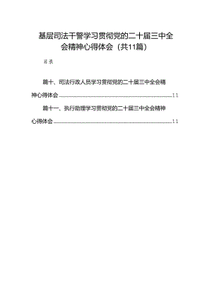 （11篇）基层司法干警学习贯彻党的二十届三中全会精神心得体会（详细版）.docx