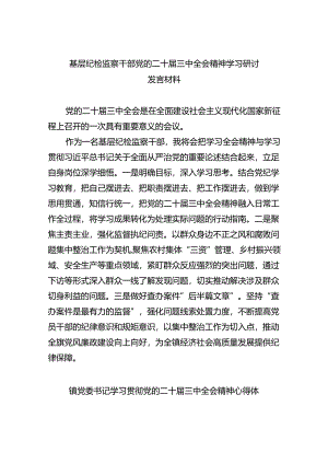 （9篇）基层纪检监察干部党的二十届三中全会精神学习研讨发言材料（详细版）.docx