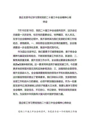 （9篇）国企支部书记学习贯彻党的二十届三中全会精神心得体会范文.docx