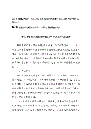 党组书记巡视整改专题民主生活会对照检查发言提纲、巡视整改专题民主生活会党员干部自我剖析材料.docx