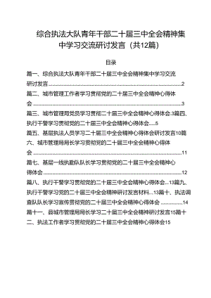 综合执法大队青年干部二十届三中全会精神集中学习交流研讨发言12篇（最新版）.docx