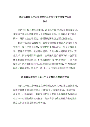 （11篇）基层法庭庭长学习贯彻党的二十届三中全会精神心得体会（详细版）.docx