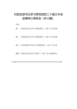 （10篇）村团支部书记学习贯彻党的二十届三中全会精神心得体会（最新版）.docx