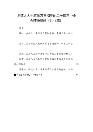 （11篇）乡镇人大主席学习贯彻党的二十届三中全会精神感想（精选）.docx