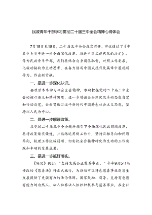 （9篇）民政青年干部学习贯彻二十届三中全会精神心得体会范文.docx