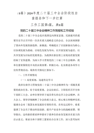 （9篇）2024年度二十届三中全会阶段性自查报告和下一步打算.docx
