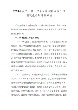 2024年度二十届三中全会精神阶段性工作情况报告附经验做法.docx