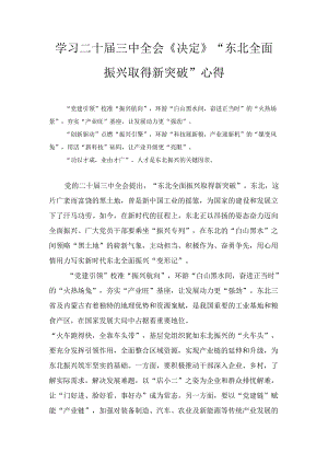 学习二十届三中全会《决定》“东北全面振兴取得新突破”心得（2024）.docx