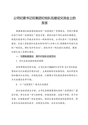 公司纪委书记在集团纪检队伍建设交流会上的发言.docx