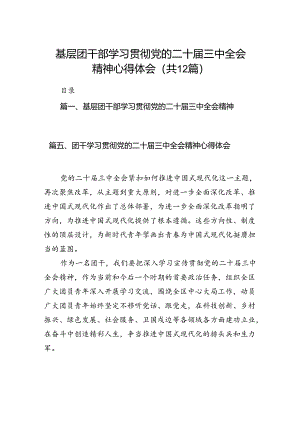 基层团干部学习贯彻党的二十届三中全会精神心得体会(12篇集合).docx