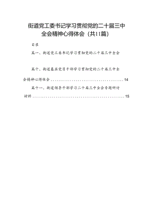 （11篇）街道党工委书记学习贯彻党的二十届三中全会精神心得体会范文精选汇编.docx