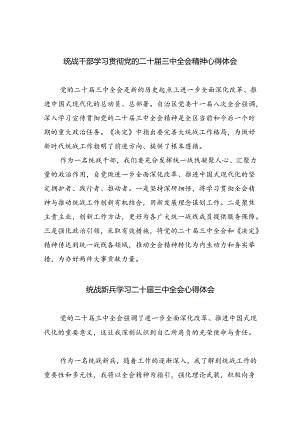 统战干部学习贯彻党的二十届三中全会精神心得体会（共五篇选择）.docx