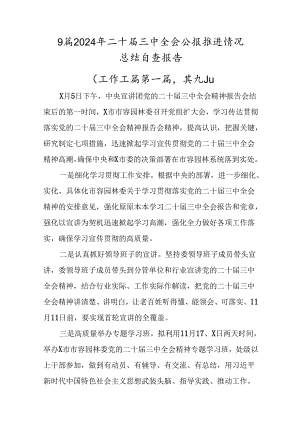9篇2024年二十届三中全会公报推进情况总结自查报告.docx