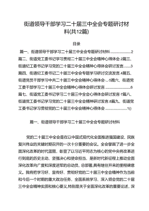 街道领导干部学习二十届三中全会专题研讨材料12篇（详细版）.docx