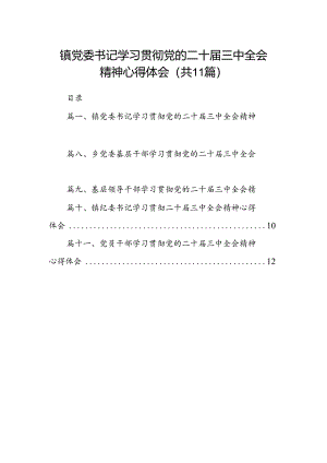 （11篇）镇党委书记学习贯彻党的二十届三中全会精神心得体会最新资料.docx