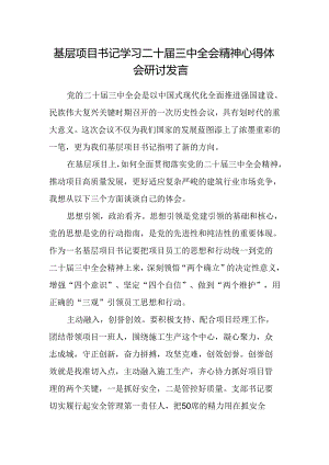 基层项目书记学习二十届三中全会精神心得体会研讨发言.docx