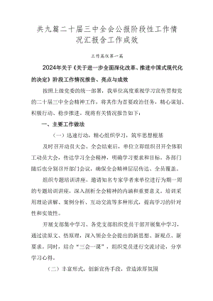 共九篇二十届三中全会公报阶段性工作情况汇报含工作成效.docx