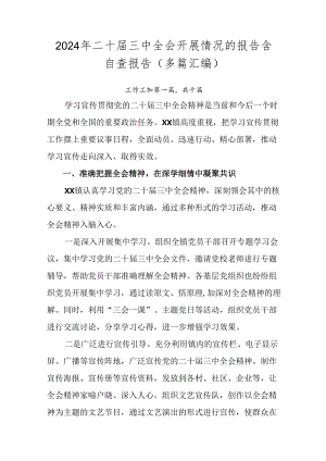 2024年二十届三中全会开展情况的报告含自查报告（多篇汇编）.docx