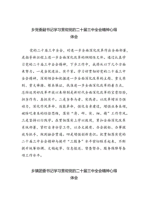 （9篇）乡党委副书记学习贯彻党的二十届三中全会精神心得体会（最新版）.docx