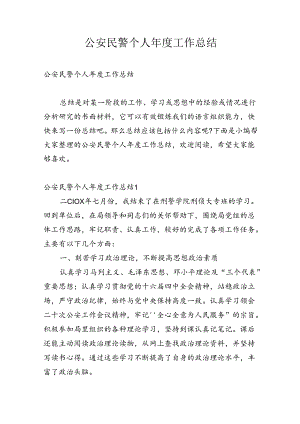 公安民警个人年度工作总结.docx