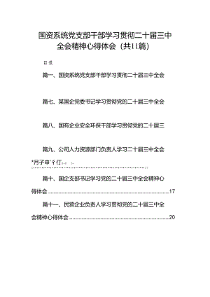 （11篇）国资系统党支部干部学习贯彻二十届三中全会精神心得体会范文.docx