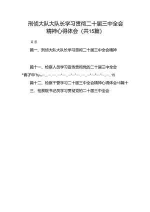 （15篇）刑侦大队大队长学习贯彻二十届三中全会精神心得体会范文.docx