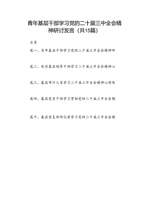（15篇）青年基层干部学习党的二十届三中全会精神研讨发言（详细版）.docx