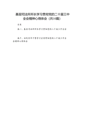 （10篇）基层司法所所长学习贯彻党的二十届三中全会精神心得体会范文.docx