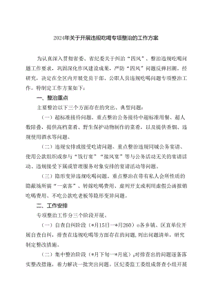 (六篇)2024年关于开展违规吃喝专项整治的工作方案（详细版）.docx