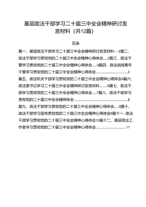 基层政法干部学习二十届三中全会精神研讨发言材料12篇（最新版）.docx
