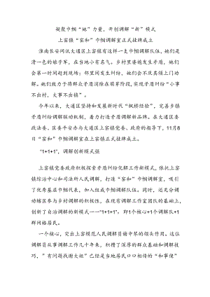 凝聚巾帼“她”力量开创调解“新”模式.docx