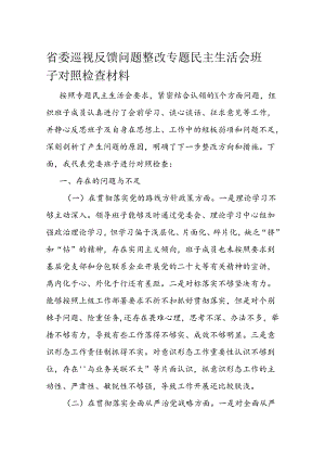省委巡视反馈问题整改专题民主生活会班子对照检查材料.docx