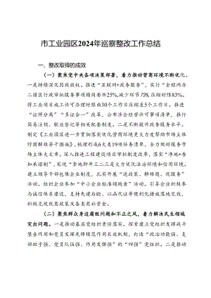 市工业园区2024年巡察整改工作总结.docx