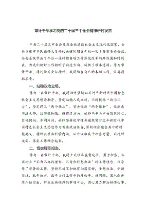 （9篇）审计干部学习党的二十届三中全会精神研讨发言范文.docx