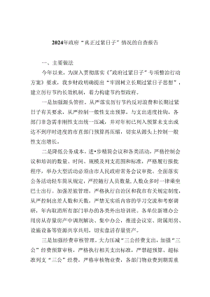 （12篇）2024年政府“真正过紧日子”情况的自查报告范文.docx