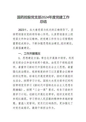 国药控股党支部2024年度党建工作总结.docx