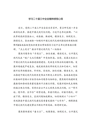 （9篇）学习二十届三中全会精神感悟心得合计.docx