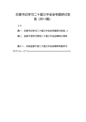（11篇）纪委书记学习二十届三中全会专题研讨发言（最新版）.docx