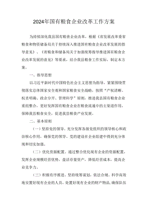 2024年国有粮食企业改革工作方案.docx