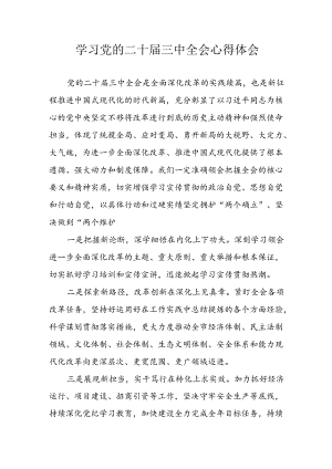 学习2024年学习党的二十届三中全会个人心得感悟.docx