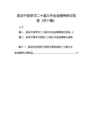 （11篇）政法干部学习二十届三中全会精神研讨发言（详细版）.docx