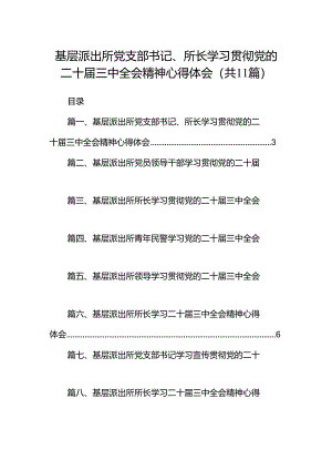 （11篇）基层派出所党支部书记、所长学习贯彻党的二十届三中全会精神心得体会（精选）.docx